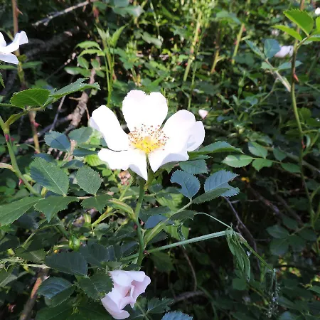 La Casa Del Cartero Pablo *