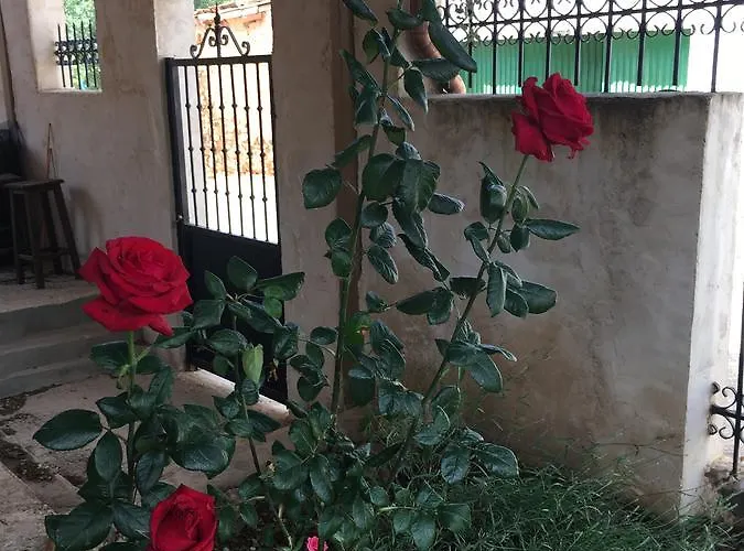 La Casa Del Cartero Pablo Casa di campagna *