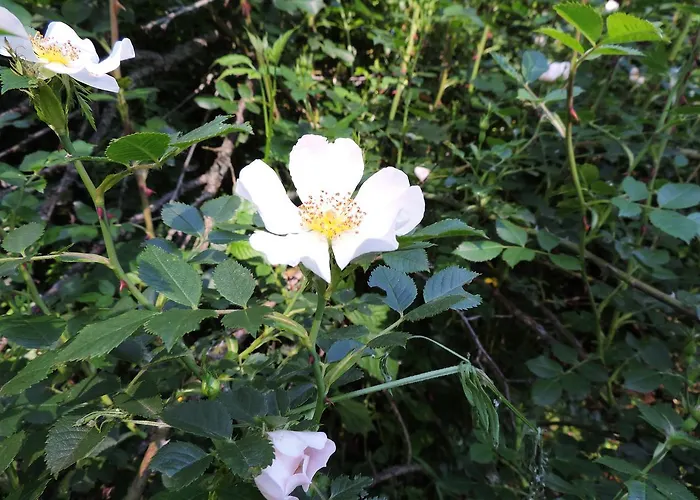 La Casa Del Cartero Pablo *