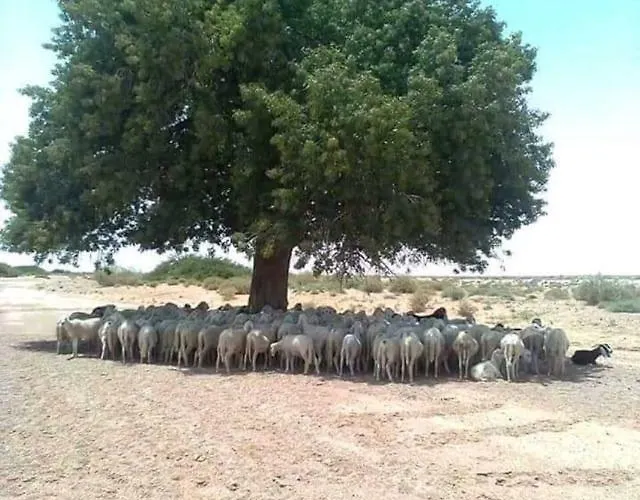 La Casa Del Cartero Pablo * Saldana de Ayllon