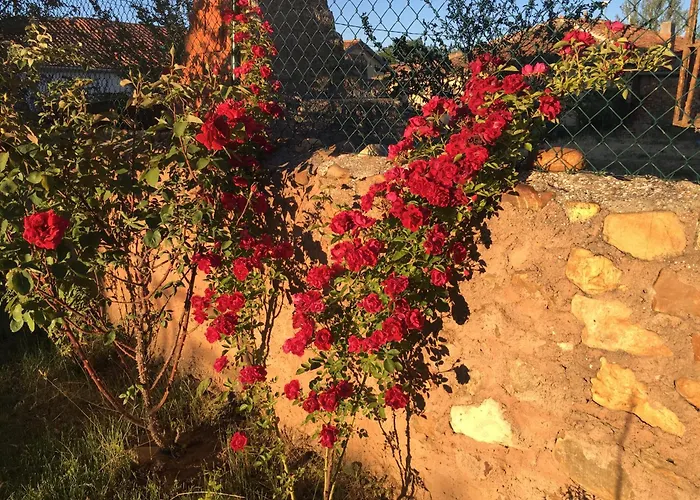 La Casa Del Cartero Pablo * Saldana de Ayllon
